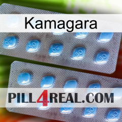 Kamagara viagra4